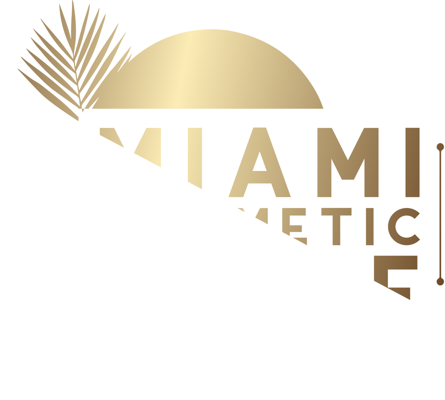 Veneers in Miami Miami Cosmetic Smile Design
