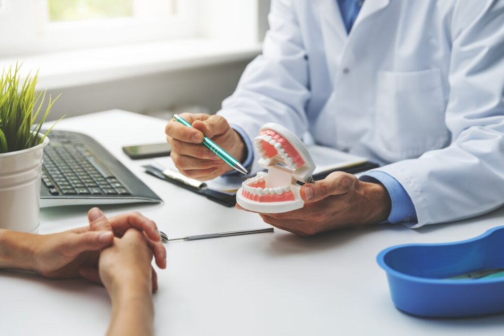 A dentist showing a teeth model 