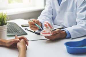 A doctor showing someone a teeth and mouth model 